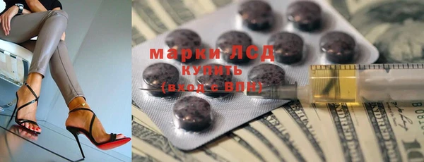 прущие грибы Пролетарск