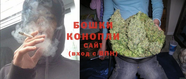 молекула духа Приозерск