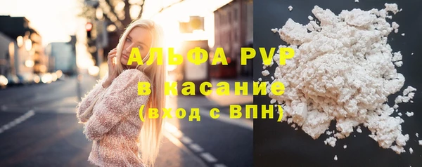 прущие грибы Пролетарск