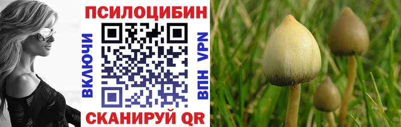 Купить где  Чекалин  Галлюциногенные грибы мухоморы 